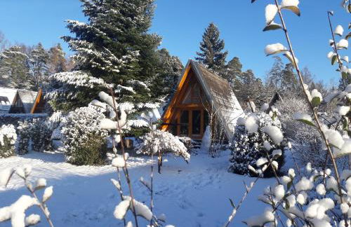 Ferienpark Schellbronn - Wolfseeweg 11 und Wolfseeweg 9 - Foto 2