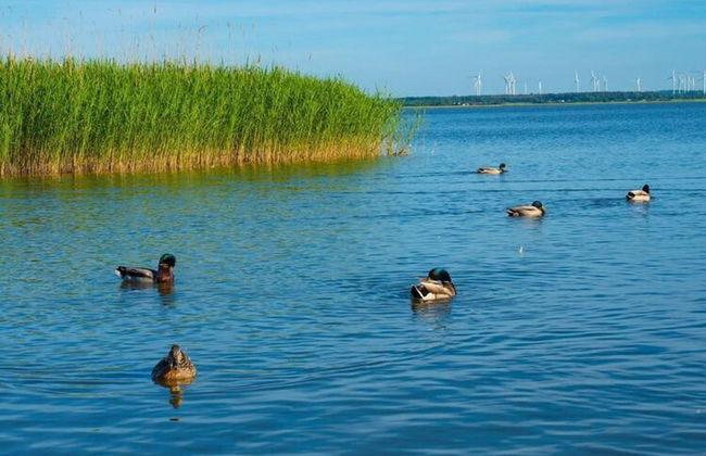 Large Holiday House With Terrace, Bobolin - Foto 25