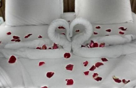 Lacqua diroma - Ótimas Suítes - Park aquático 24h - PISCINA DE ONDAS - Foto 30