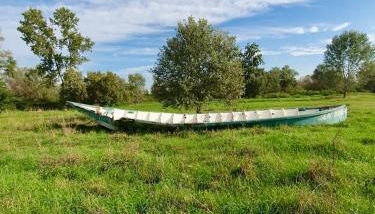 ReBeeApartments - apt 1 - Foto 5