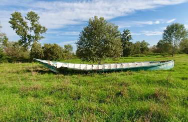 ReBeeApartments - apt 1 - Foto 5