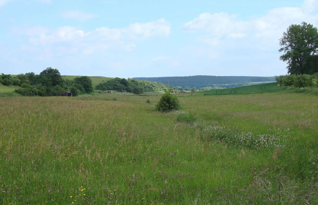 Hillside Cottage Near Winterberg - Foto 20