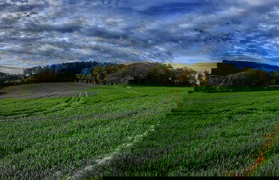 Ruhiger Bungalow am Hennesee mit Terrasse - Photo 32