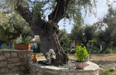 Rock house - Foto 19