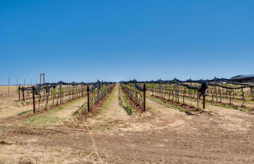 Walk to Wineries Elgin Wine Country Retreat! - Foto 26