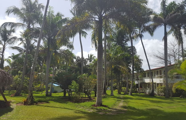 Oasis Hotel Las Terrenas - Foto 32