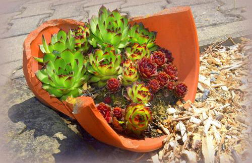 Cosis Ferienwohnung - Foto 21