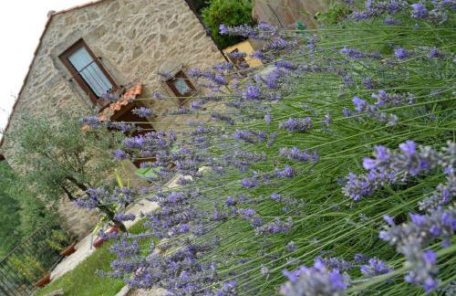 Quinta da Costeira - Foto 21