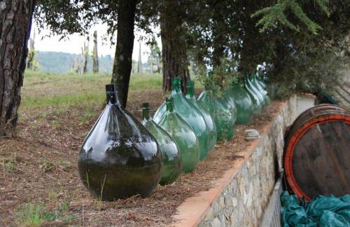 Agriturismo Podere Casacce - Foto 9