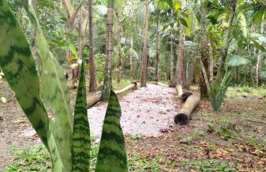 Chalé Saíra - casa simples no meio da Mata Atlântica! - Photo 14