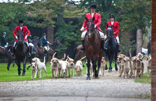 Palazzo Minelli - Foto 57