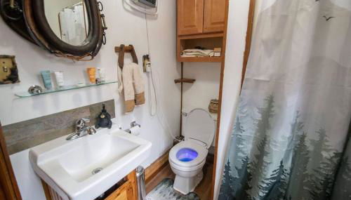 Black bear cabin with blow up hot tub - Foto 4