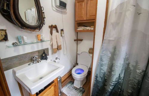 Black bear cabin with blow up hot tub - Foto 4