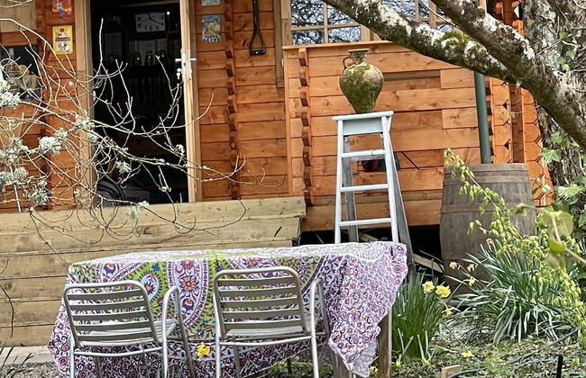 Retro Lodge nr Dartoor With hot tub & opt Sauna - Foto 14