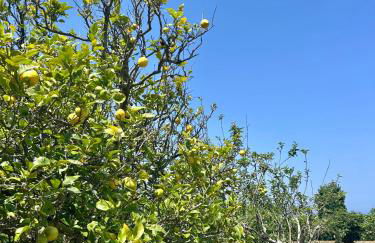 La Ponderosa - Foto 10