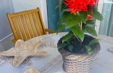 Cabo Frio Familiar Toca de Gente Feliz - Foto 11