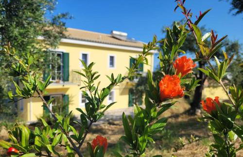 Gelbes Haus Korfu - Foto 18