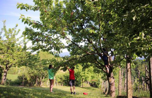 Old Sparrow House , Zagreb okolica - Foto 4