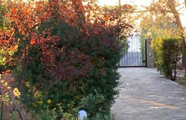 Seaside Villa in Alikes, Chalkida - Foto 44