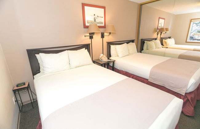 The Grey Gull - Foto 37