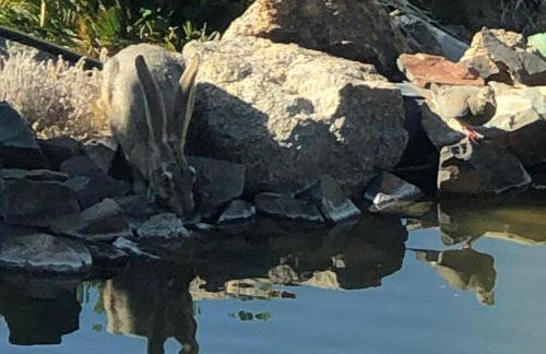 JT Park Villa 360 Views and Starlink on 10 acres - Foto 35