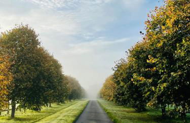 Cocklebury Farm - Foto 25