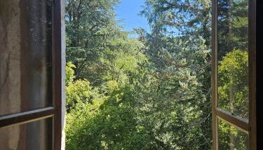 Perched Nest in Cevennes Mountains, relaxing place - Photo 5