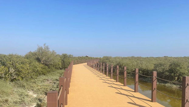 Al Thakira Reserve Kayak Tour - Photo 5, Explore mangroves from a unique perspective in the water