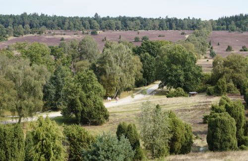 Ferienwohnungen / Ferienhaus Wahlers - Foto 40
