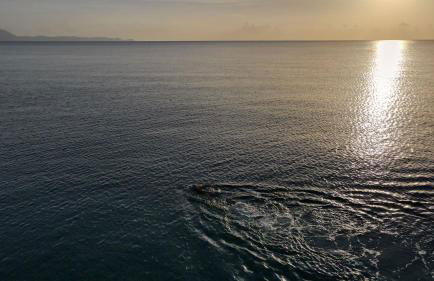 Gennadi Villa Mary - Foto 58