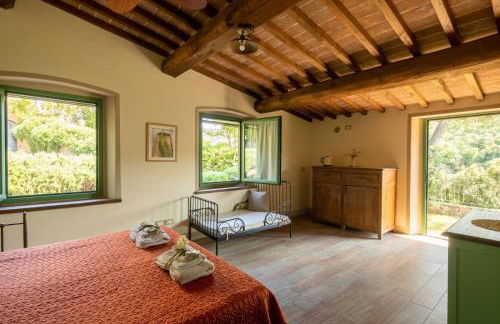 La Gufaia - holiday house with private pool near Florence - Foto 12