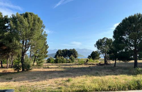 Ourania Apartments - Photo 7