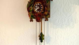 Kuckuckstraum - Foto 2