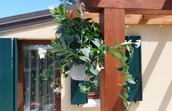 Ca' SVIZZERO - Foto 42