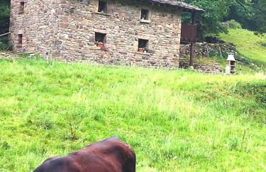 Cabaña La Cambera - Foto 27