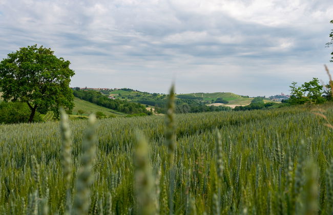 Casa della Peschiera - Photo 26