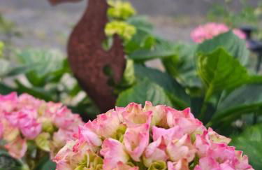 Großes neues Appartement Mein Burgwaldtraum - Foto 5