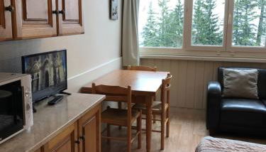 RÉSID BEC DE L AIGLE Studio 22 - LE LIORAN - Foto 3