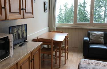 RÉSID BEC DE L AIGLE Studio 22 - LE LIORAN - Photo 3