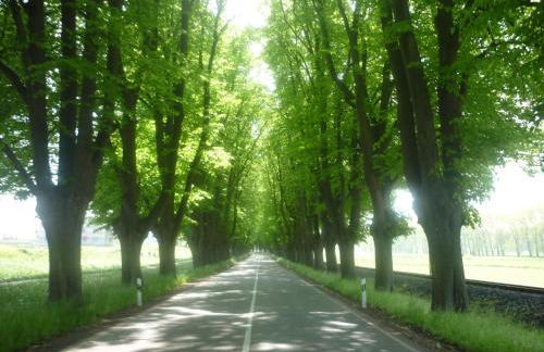 Ferienwohnung in 18107 Elmenhorst kurz vor Warnemünde - Foto 17