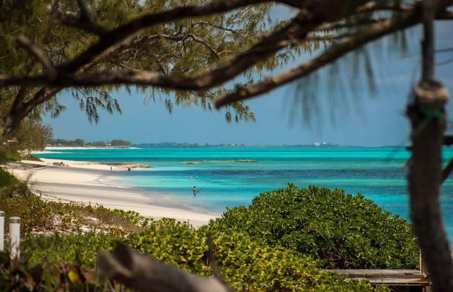 Beachfront White Palm Villa - Tar Bay - Foto 27