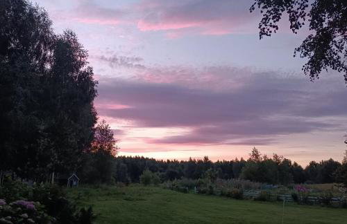 Siedlisko MiłoBrzózka - Photo 29