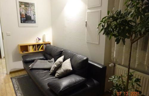 Ferienwohnungen Pilke - Foto 10