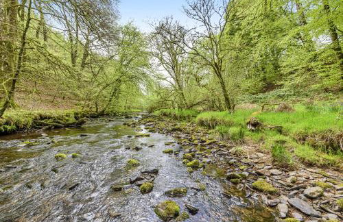 Smiddy Cottage, Historic Village Hub with Spacious Lounge, High Ceilings, and Wood Stove - Foto 18