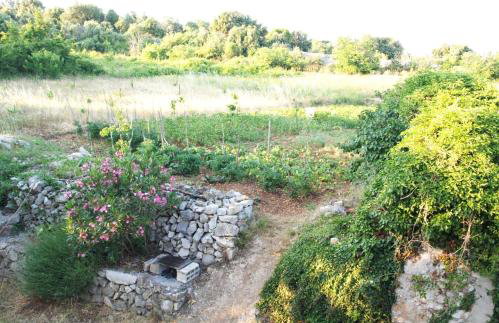 Holiday Home Loznati - Foto 27