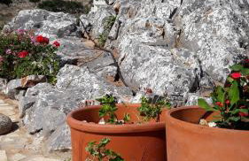 Villa Gerrito - Foto 52