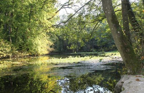 Fewo Waldfeeling - Foto 14