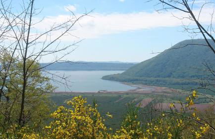 Renaissance Boutique House - Foto 56