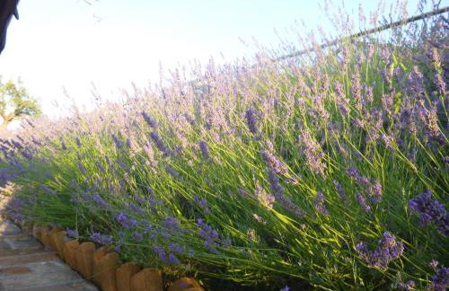 Agriturismo La Corte - Foto 17