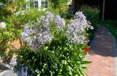 Little Woodside a beautiful New Forest self contained private luxury annexe - Foto 70